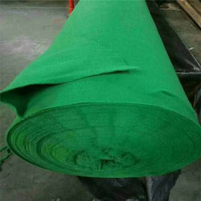 吉林250克土工布的特性與應(yīng)用